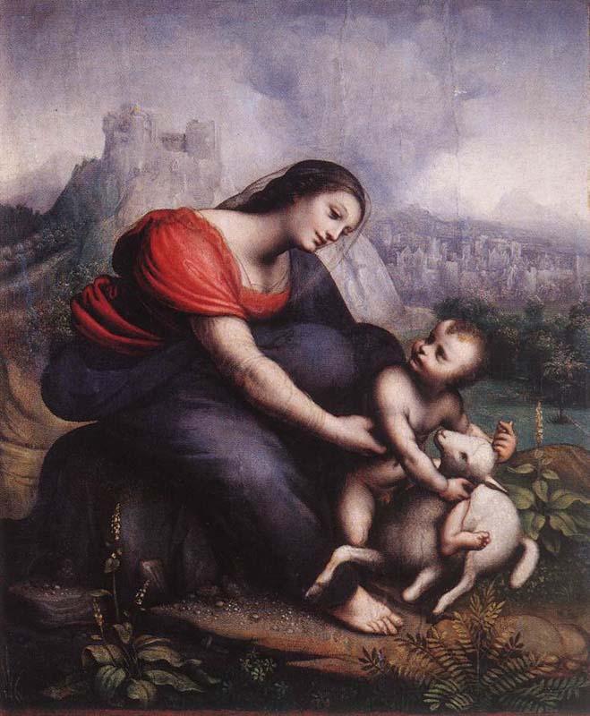 Cesare da Sesto Madonna and Child with the Lamb of God Sweden oil painting art